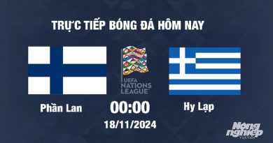 Trực tiếp Phần Lan vs Hy Lạp, UEFA Nations League 2024/25, 00h00 ngày 18/11/2024