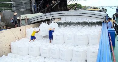 Doanh nghiệp xuất khẩu gạo kỳ vọng mức giá tốt hơn