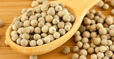 Giá tiêu hôm nay 4/5/2025: Tuần này biến động mạnh