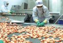 Xuất khẩu thủy sản tháng 4/2025 thu về 850 triệu USD